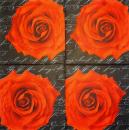 029 Rosen - 3-lagig (blau)